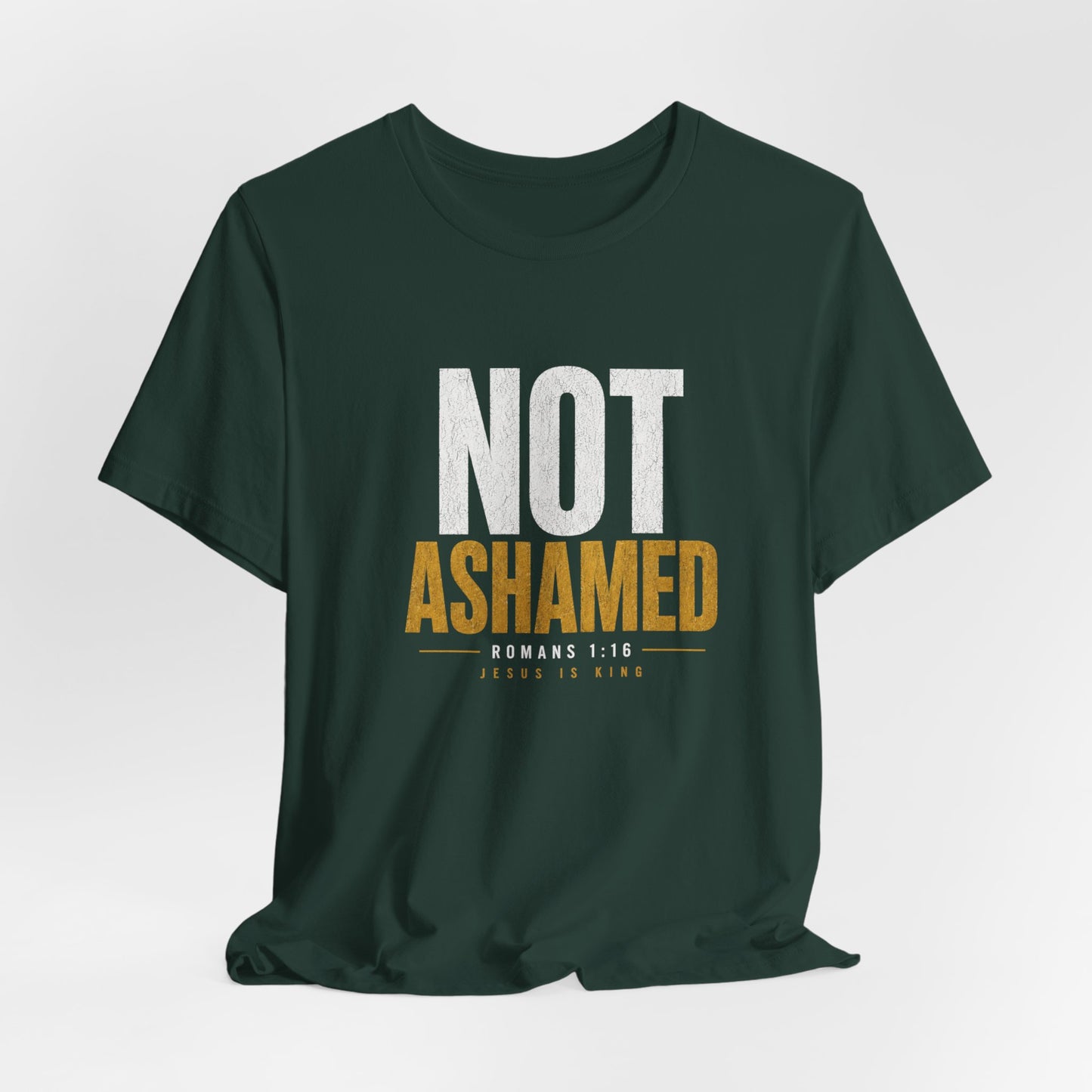 JIK Men's Military Colors — Not Ashamed Tee