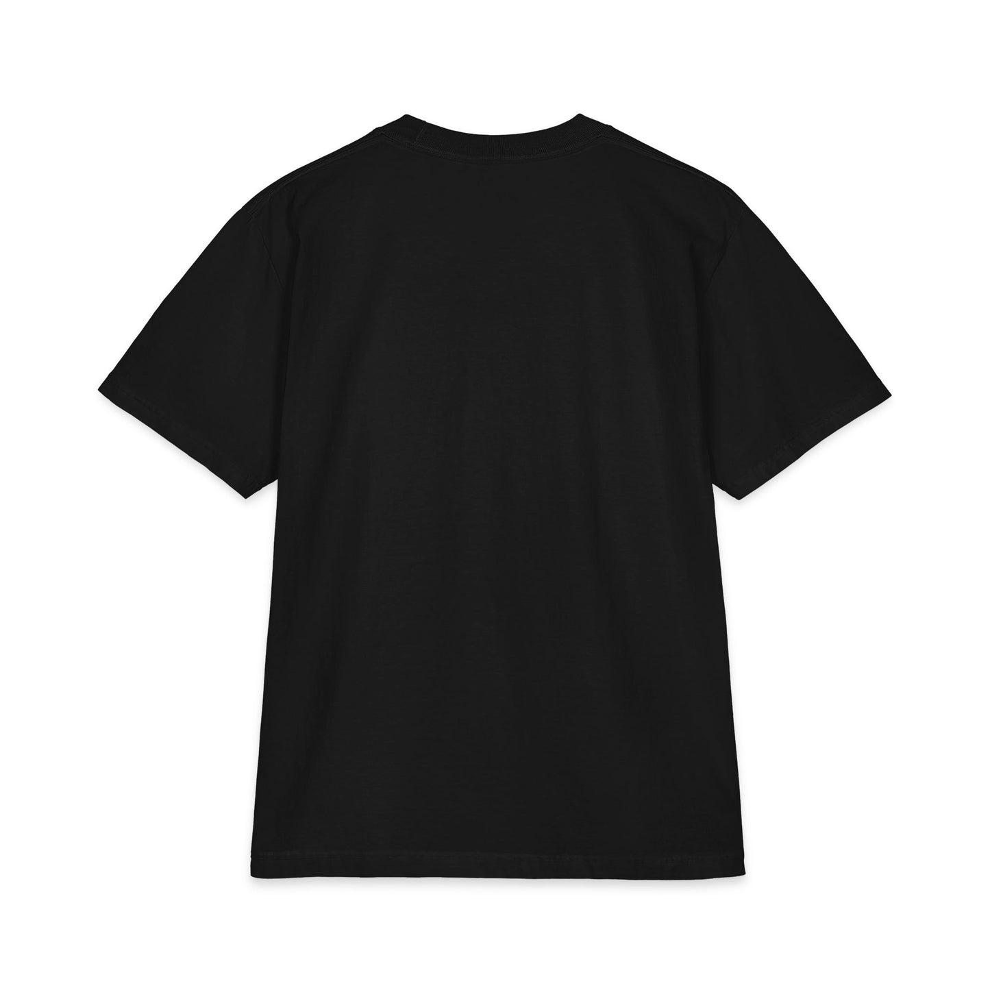 Jesus Is King  — JIK Men's Tee