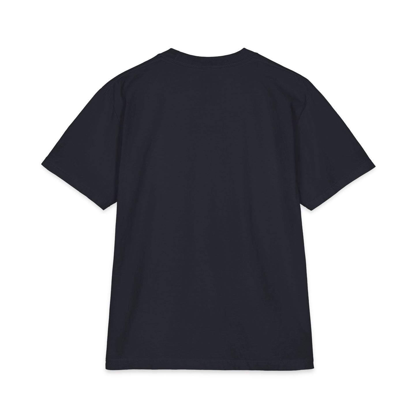 Jesus Is King  — JIK Men's Tee