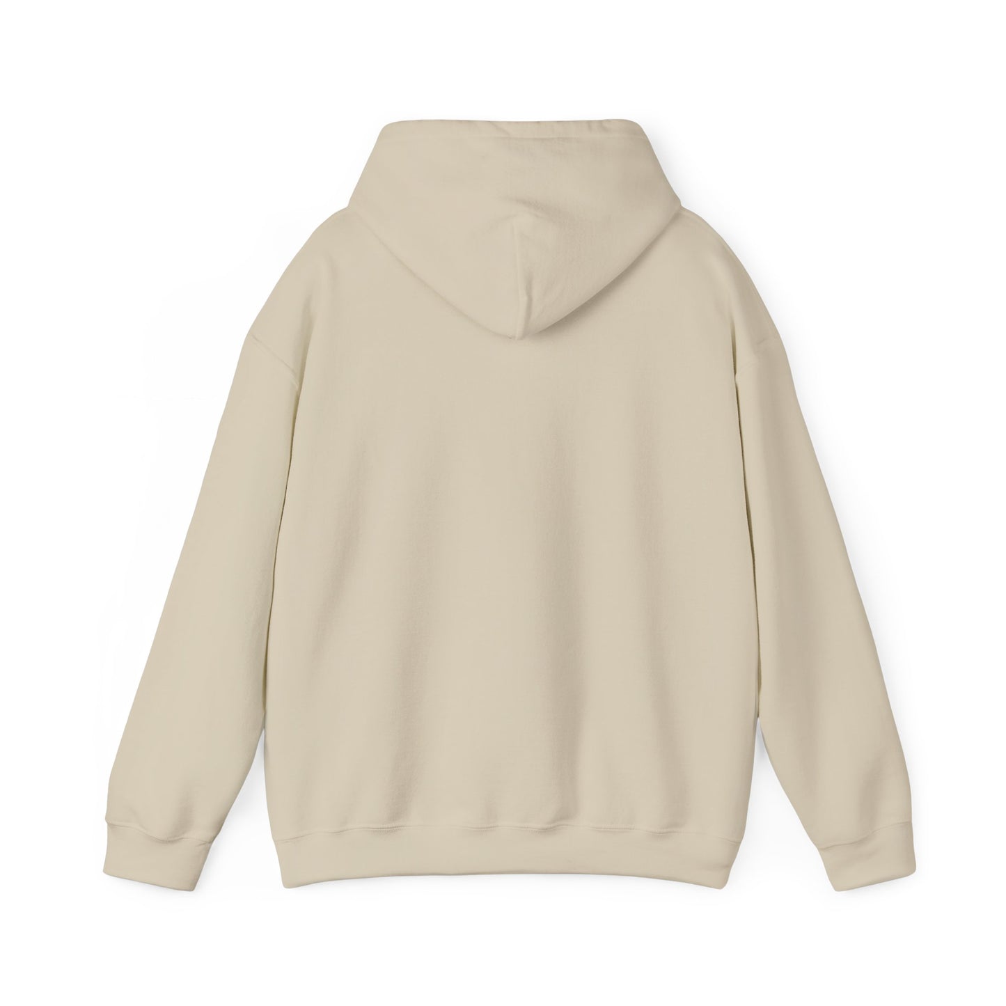 Jesus is King — Pullover Hoodie