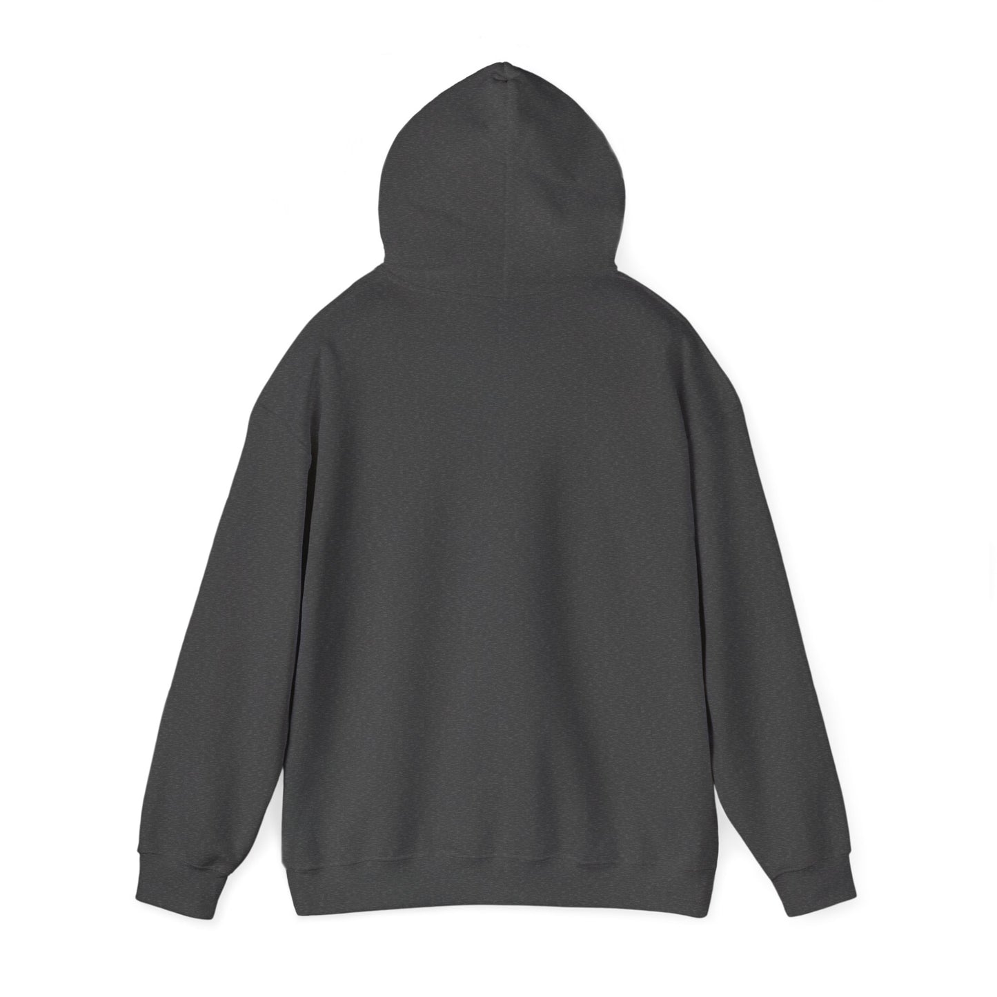 Jesus is King — Pullover Hoodie