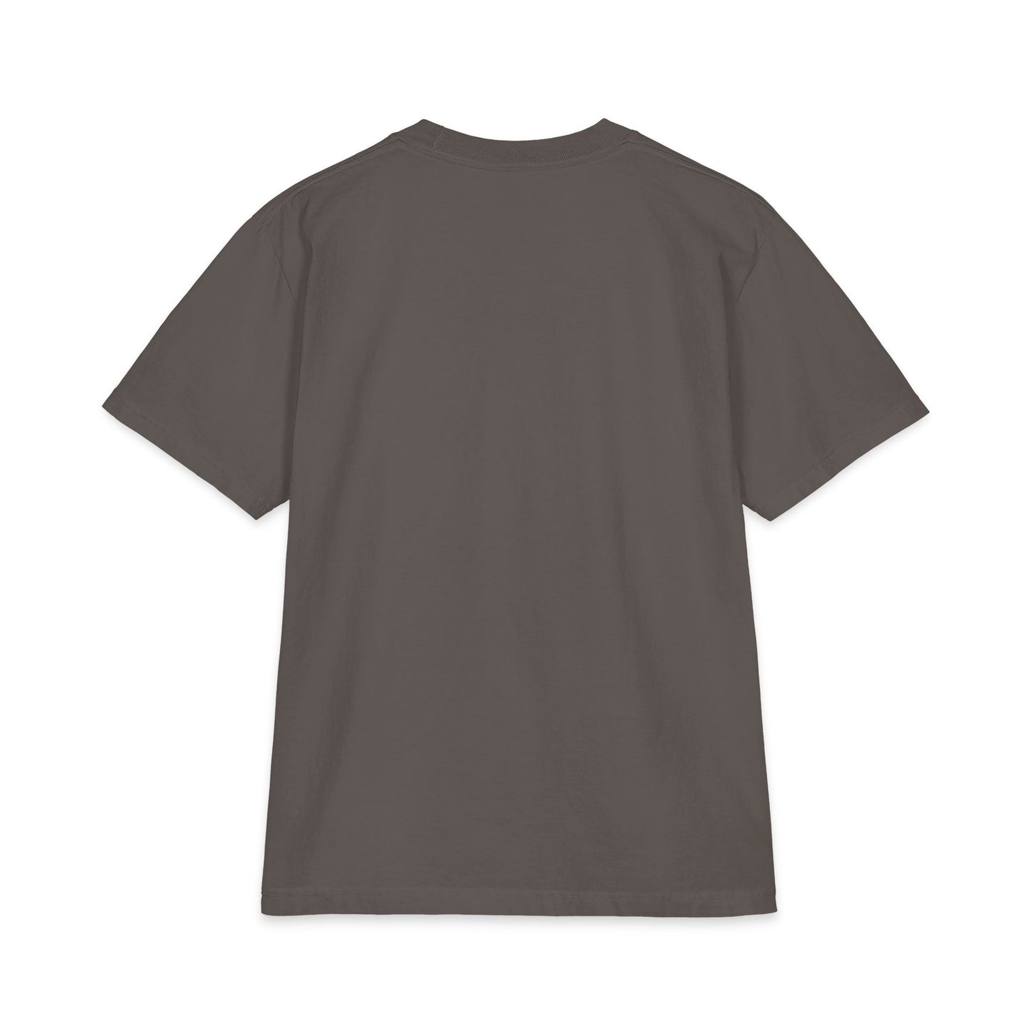 Jesus Is King  — JIK Men's Tee